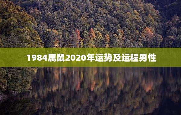 1984属鼠2020年运势及运程男性