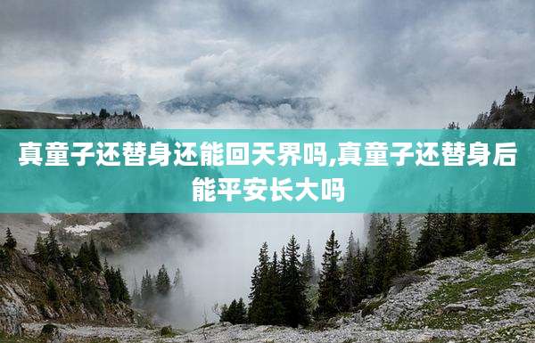 真童子还替身还能回天界吗,真童子还替身后能平安长大吗
