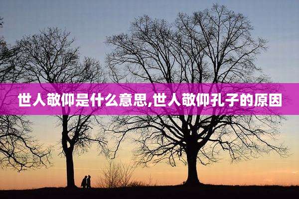 世人敬仰是什么意思,世人敬仰孔子的原因