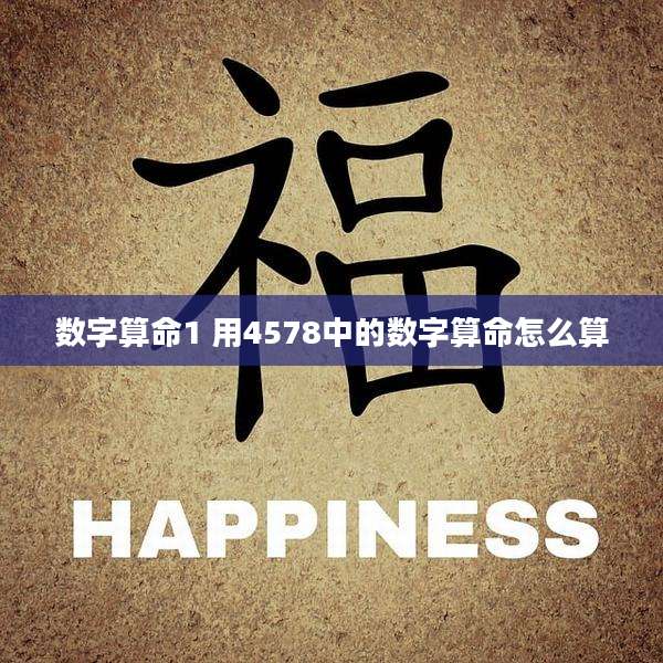 数字算命1 用4578中的数字算命怎么算