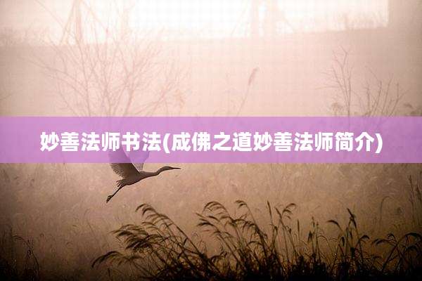 妙善法师书法(成佛之道妙善法师简介)