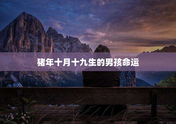 猪年十月十九生的男孩命运