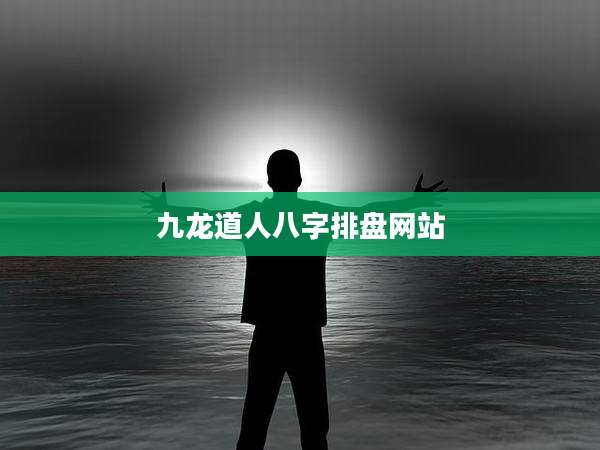九龙道人八字排盘网站