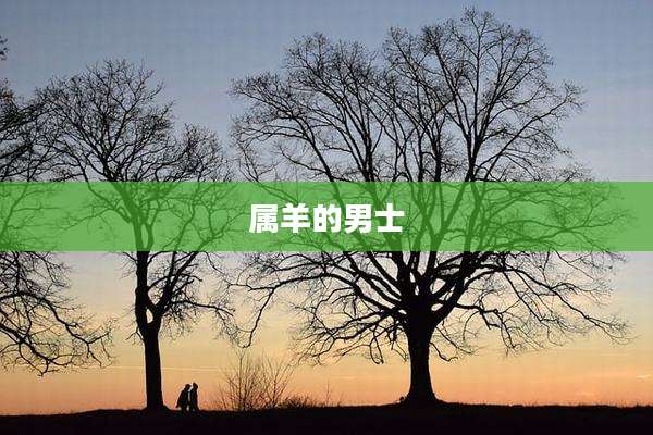 属羊的男士