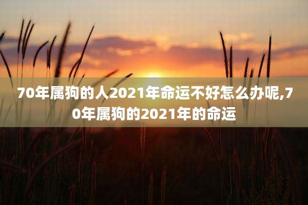 70年属狗的人2021年命运不好怎么办呢,70年属狗的2021年的命运