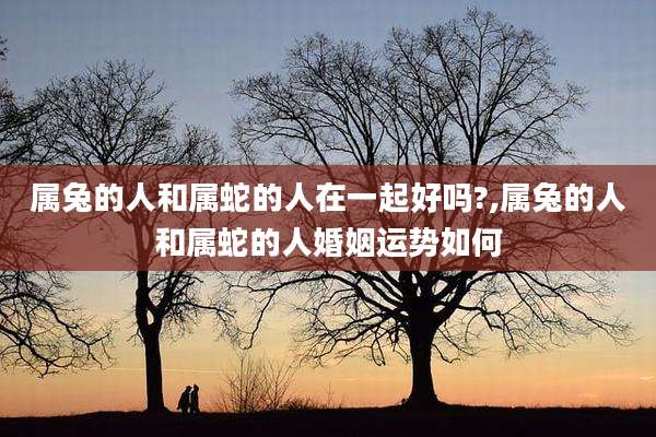 属兔的人和属蛇的人在一起好吗?,属兔的人和属蛇的人婚姻运势如何
