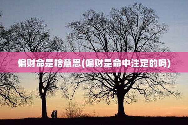 偏财命是啥意思(偏财是命中注定的吗)