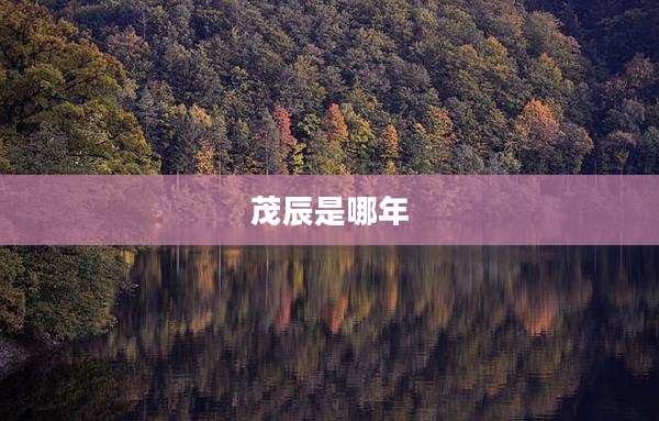 茂辰是哪年