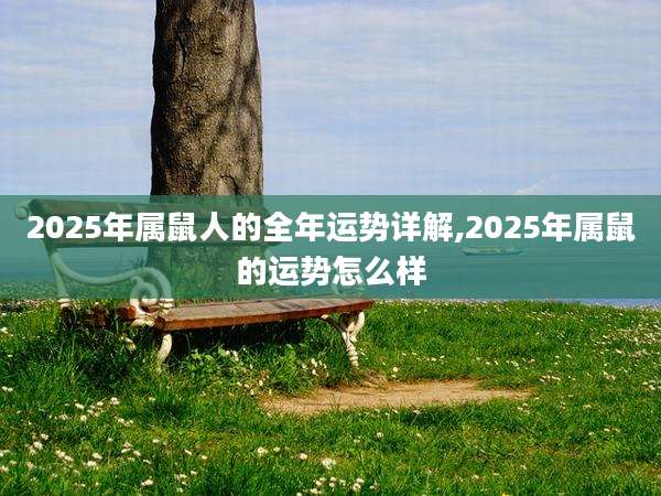 2025年属鼠人的全年运势详解,2025年属鼠的运势怎么样