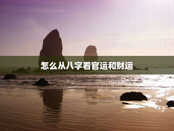 怎么从八字看官运和财运