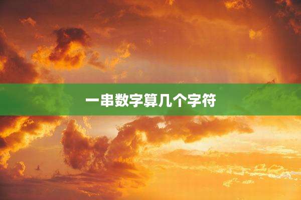 一串数字算几个字符