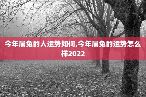 今年属兔的人运势如何,今年属兔的运势怎么样2022