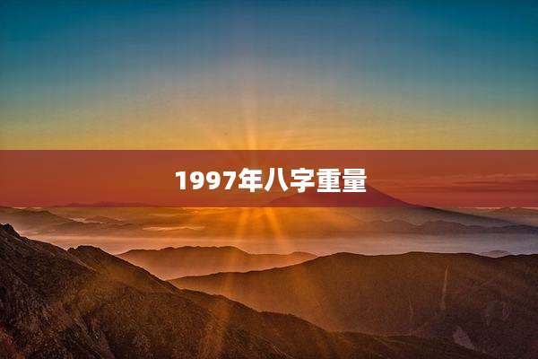 1997年八字重量