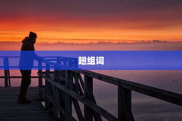 翅组词