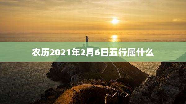 农历2021年2月6日五行属什么
