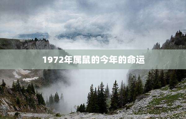 1972年属鼠的今年的命运
