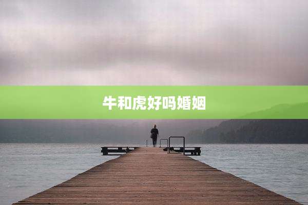 牛和虎好吗婚姻