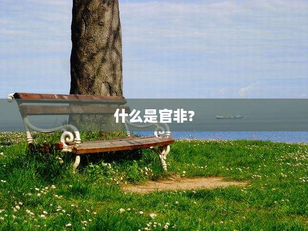 什么是官非?