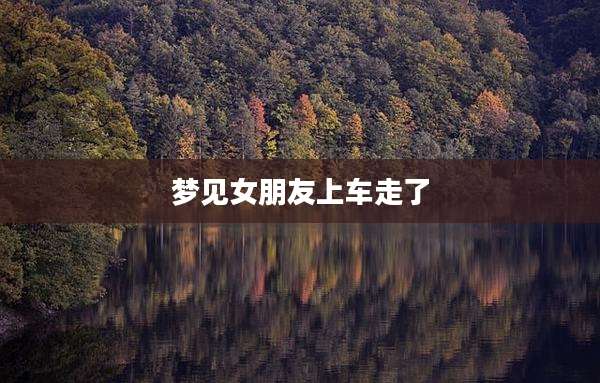 梦见女朋友上车走了