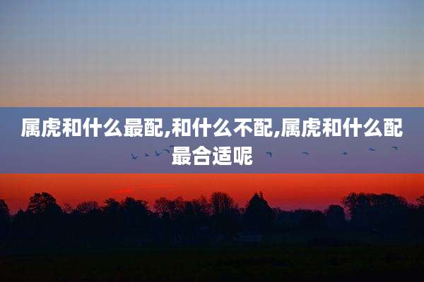属虎和什么最配,和什么不配,属虎和什么配最合适呢