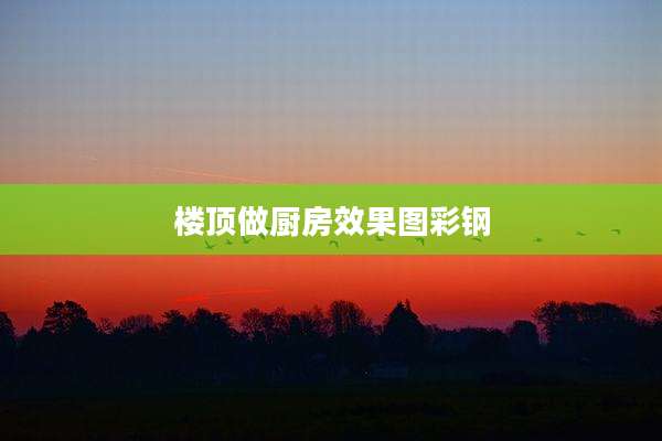 楼顶做厨房效果图彩钢