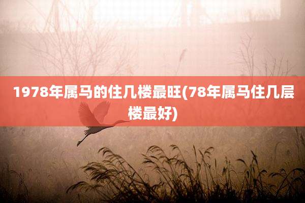 1978年属马的住几楼最旺(78年属马住几层楼最好)