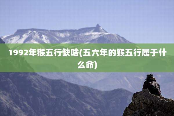 1992年猴五行缺啥(五六年的猴五行属于什么命)