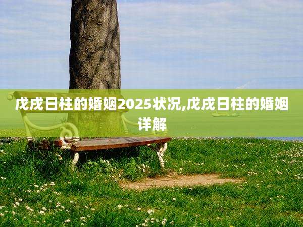 戊戌日柱的婚姻2025状况,戊戌日柱的婚姻详解