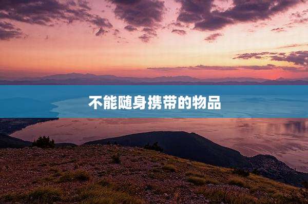 不能随身携带的物品