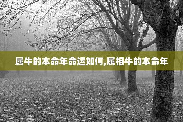 属牛的本命年命运如何,属相牛的本命年