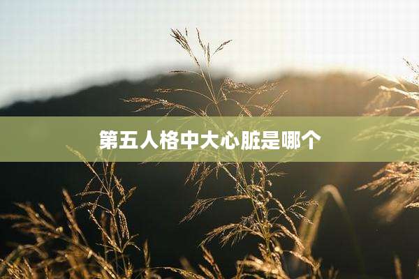 第五人格中大心脏是哪个