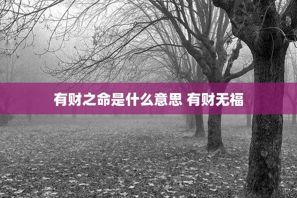 有财之命是什么意思 有财无福