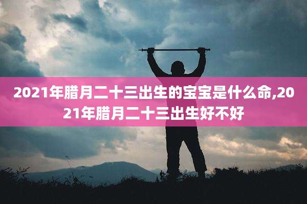 2021年腊月二十三出生的宝宝是什么命,2021年腊月二十三出生好不好