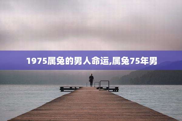 1975属兔的男人命运,属兔75年男