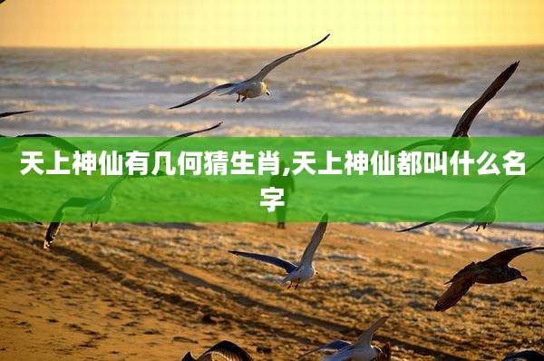 天上神仙有几何猜生肖,天上神仙都叫什么名字