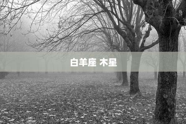 白羊座 木星