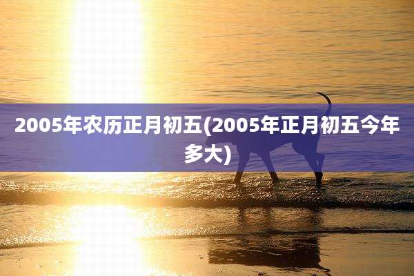 2005年农历正月初五(2005年正月初五今年多大)