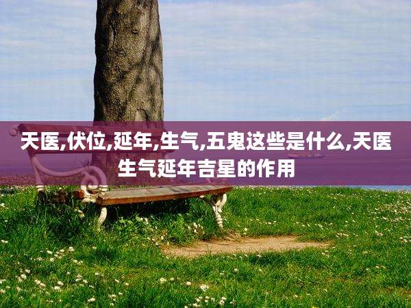 天医,伏位,延年,生气,五鬼这些是什么,天医生气延年吉星的作用