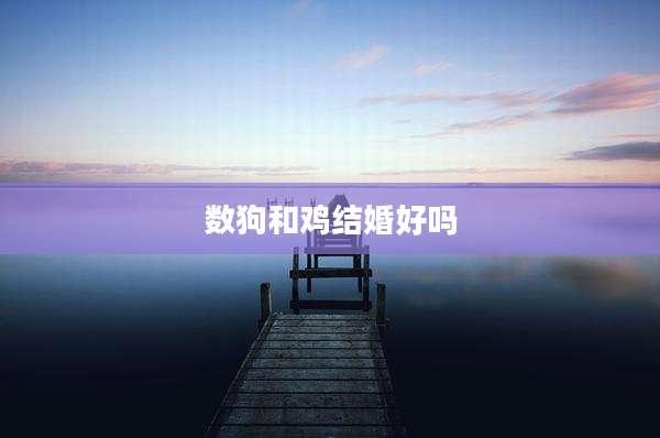 数狗和鸡结婚好吗