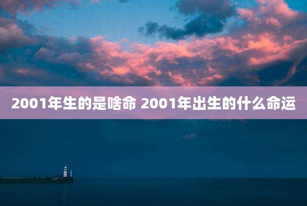 2001年生的是啥命 2001年出生的什么命运