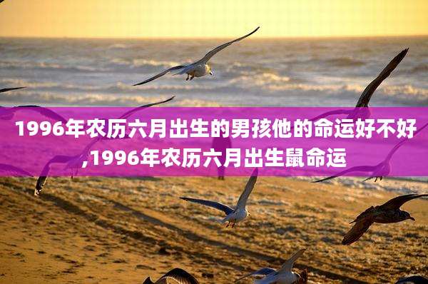 1996年农历六月出生的男孩他的命运好不好,1996年农历六月出生鼠命运