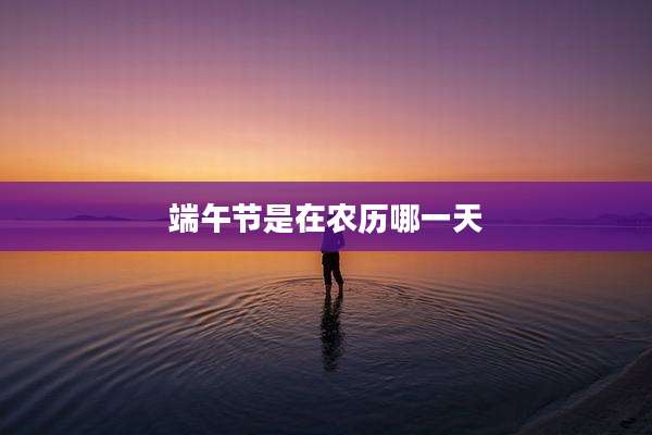 端午节是在农历哪一天