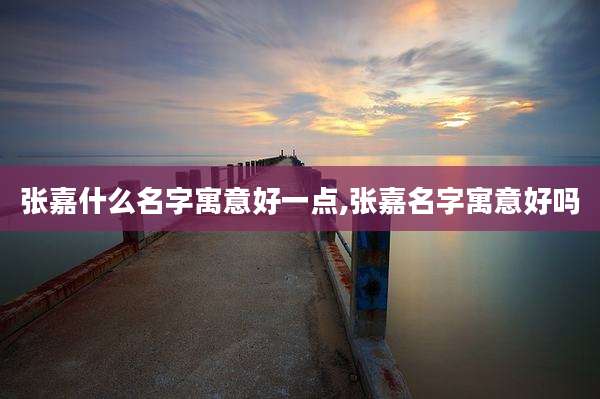 张嘉什么名字寓意好一点,张嘉名字寓意好吗