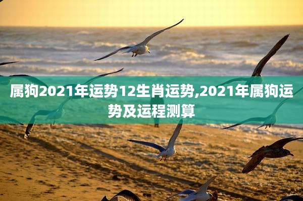 属狗2021年运势12生肖运势,2021年属狗运势及运程测算