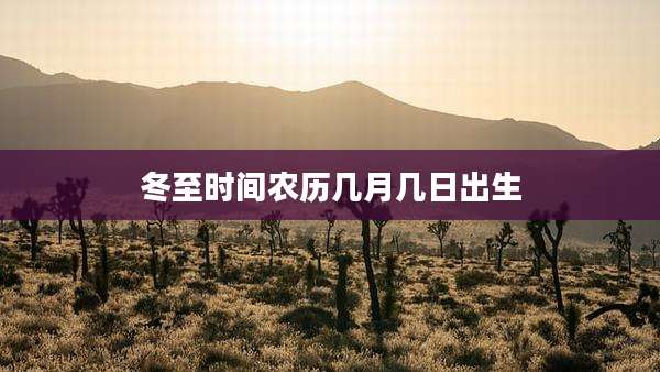 冬至时间农历几月几日出生