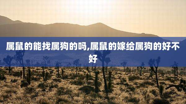 属鼠的能找属狗的吗,属鼠的嫁给属狗的好不好