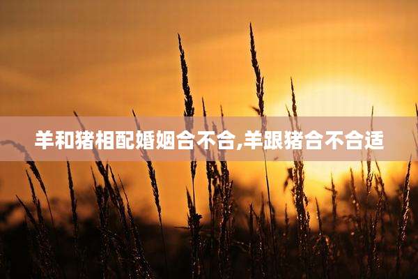 羊和猪相配婚姻合不合,羊跟猪合不合适
