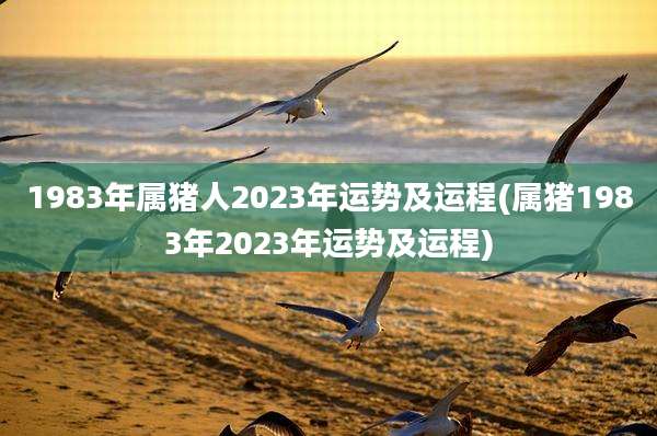 1983年属猪人2023年运势及运程(属猪1983年2023年运势及运程)