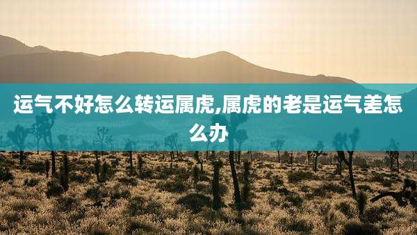 运气不好怎么转运属虎,属虎的老是运气差怎么办