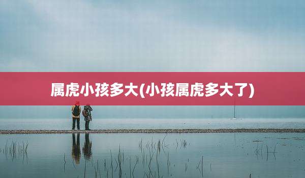 属虎小孩多大(小孩属虎多大了)